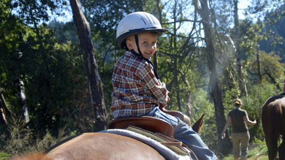 Boy riding a horse