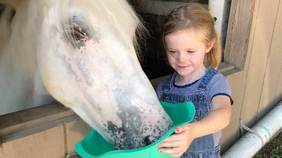 Little girl feeding horse