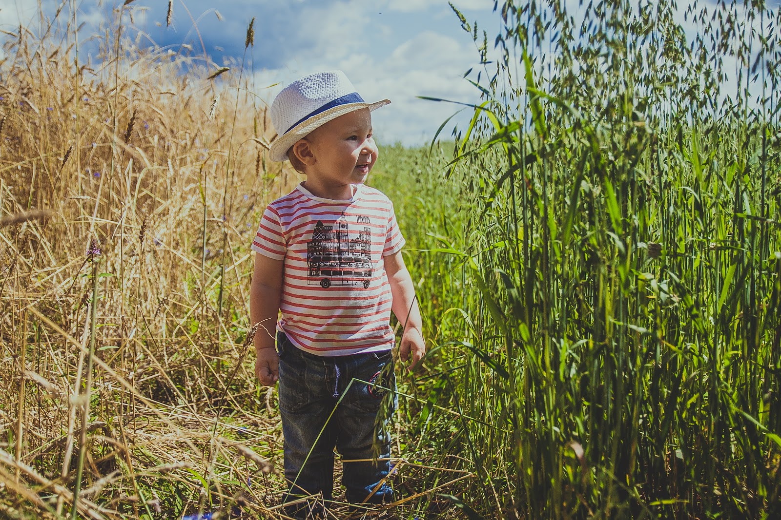 cherry crest adventure farm