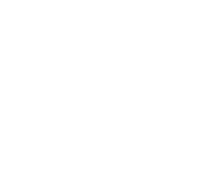 The Little Gym Logo