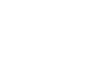 Unleashed Brands Logo