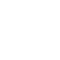 network icon