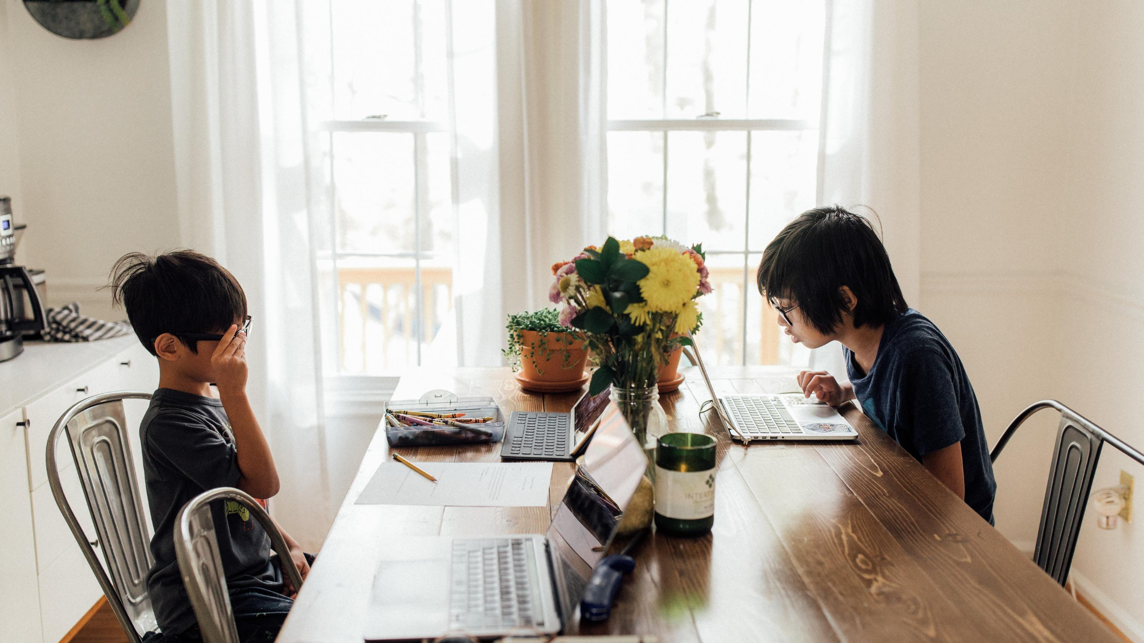 two young boys studying on laptops