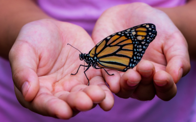 STEAM at Home: Family Spring Scavenger Hunt